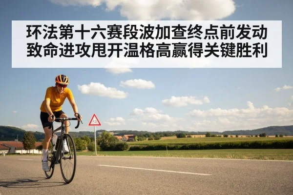 环法第十六赛段波加查终点前发动致命进攻甩开温格高赢得关键胜利